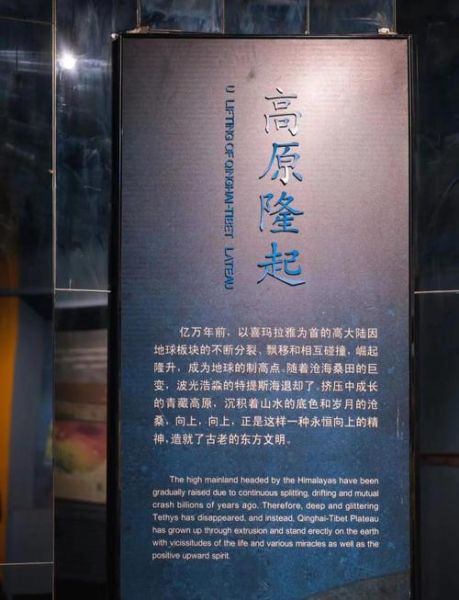 青藏高原博物馆门票多少钱_怎么买票最划算