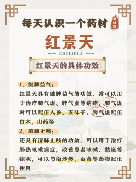 高原红景天有什么功效_怎么吃效果最好