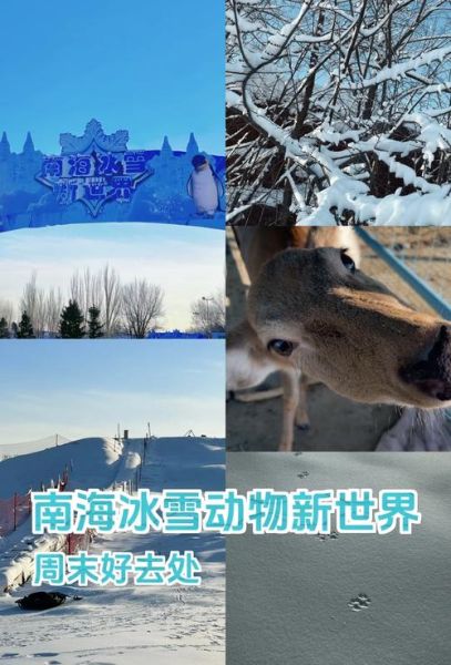 南海冰雪节门票价格_南海冰雪节有什么好玩的