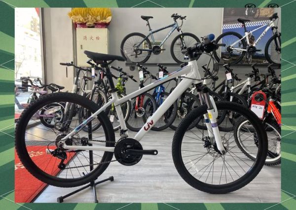 山地车哪个牌子好_骑行新手怎么选