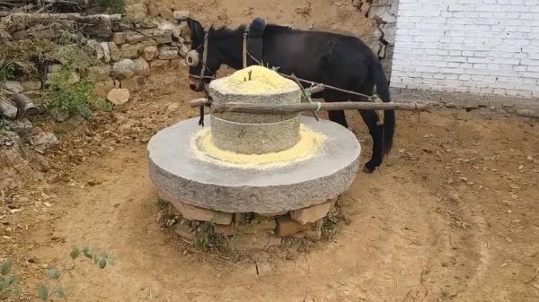 拉磨户外是什么_拉磨户外值得去吗