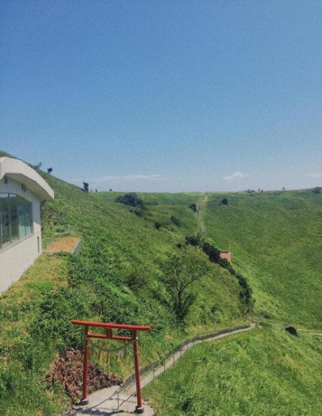 伊豆高原一日游怎么玩_伊豆高原必去景点推荐