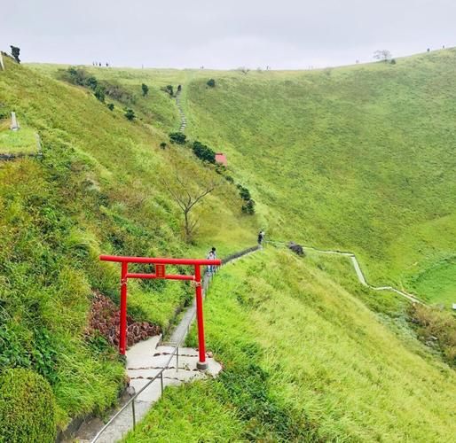 伊豆高原一日游怎么玩_伊豆高原必去景点推荐