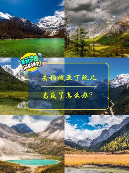 高原不胖是真的吗_高原减肥原理