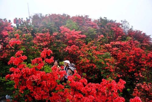 天露户外俱乐部怎么样_新手适合参加吗