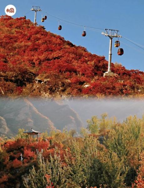 北京秋天去哪里赏红叶_北京秋季旅游最佳时间