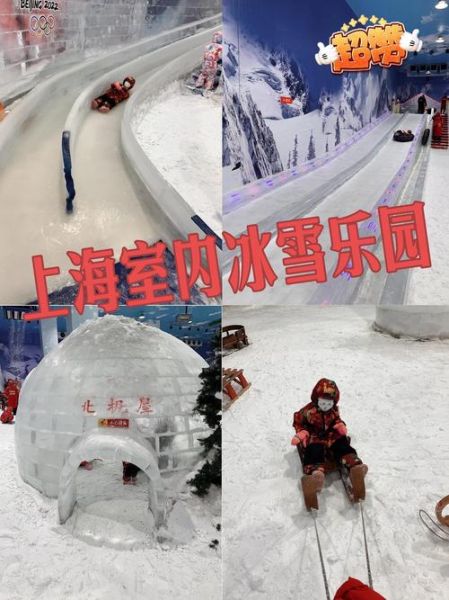 上海冰雪梦幻门票价格_值得去吗
