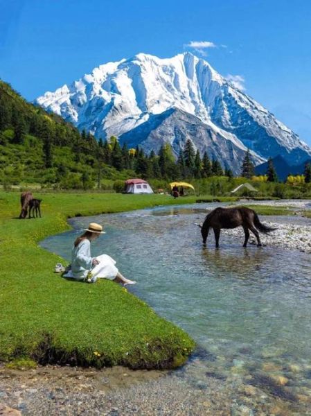 青草高原在哪里_怎么去最方便