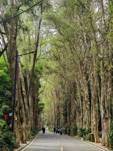 福州户外俱乐部哪家好_周末徒步路线推荐