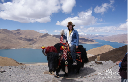 婴儿可以去高原吗_高原反应症状有哪些