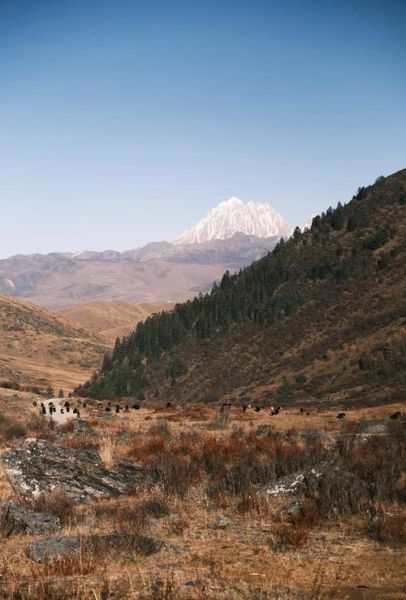 气管炎能去高原吗_高原旅行注意事项