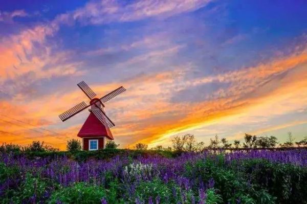 西部长青冰雪小镇电话_怎么联系客服